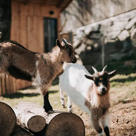 Lägenhet Wieserhof Ardagger Stift