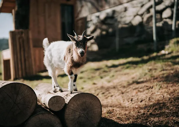 Wieserhof Apartment *