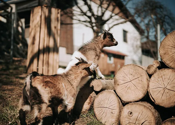 Wieserhof Apartment Ardagger Stift