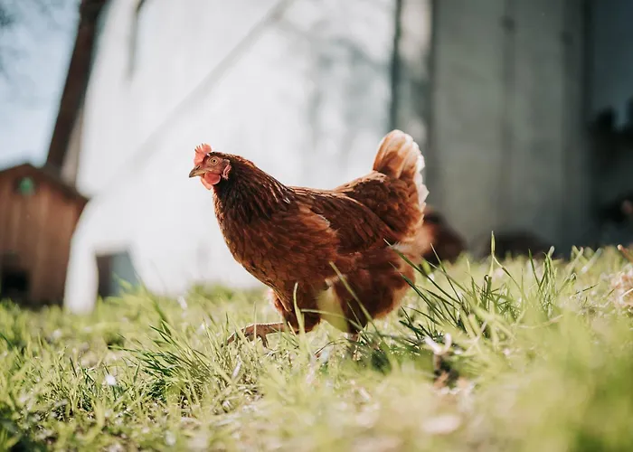 Wieserhof * Ardagger Stift