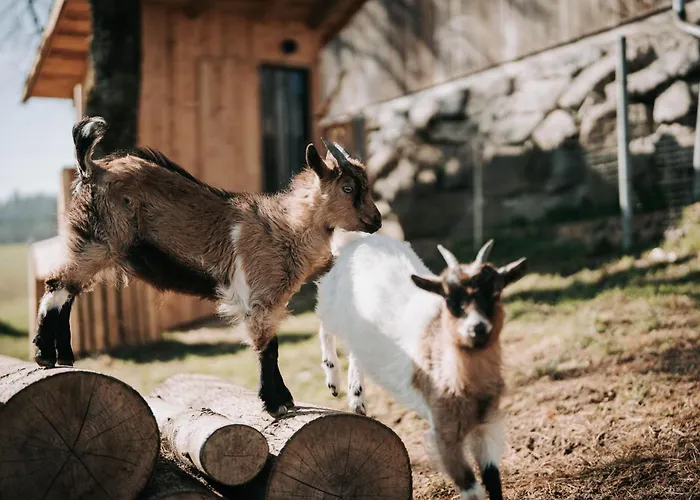 Apartment Wieserhof Ardagger Stift