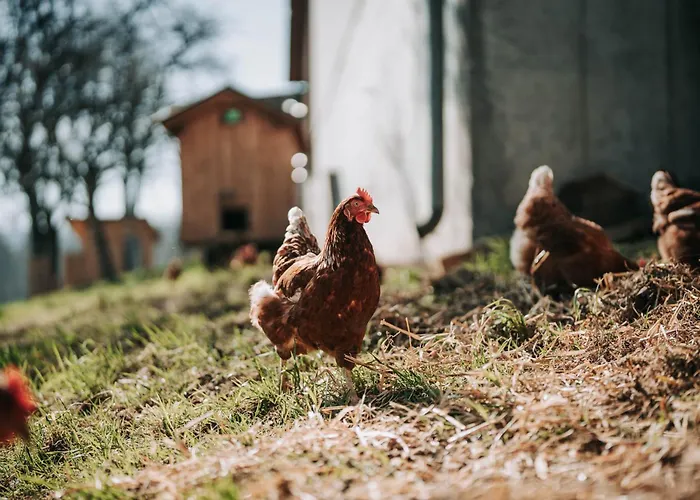 Apartment Wieserhof *